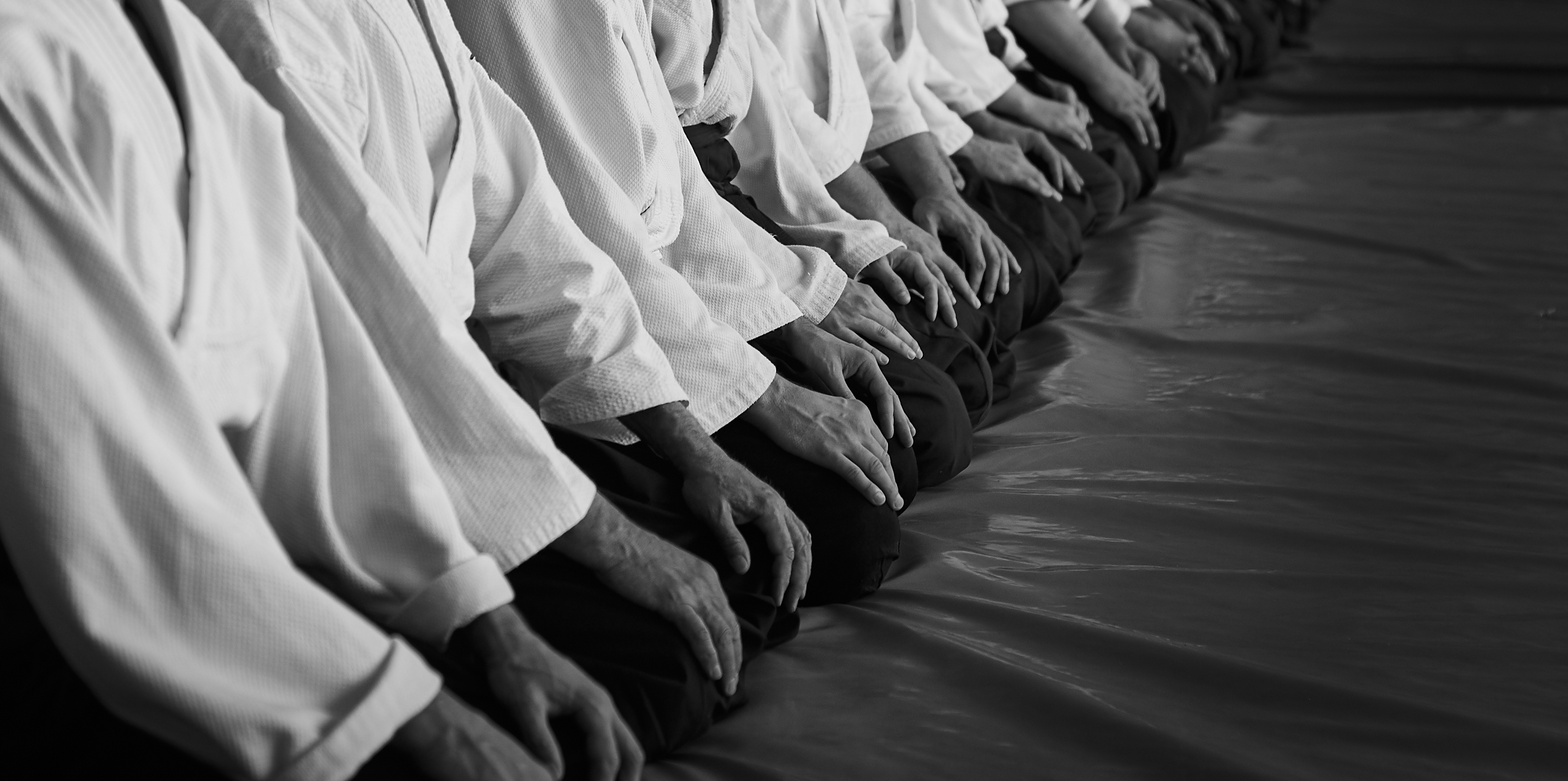 Aikidoka in Seiza